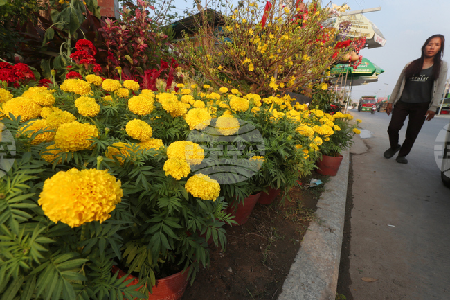 Cambodia Lunar New Year