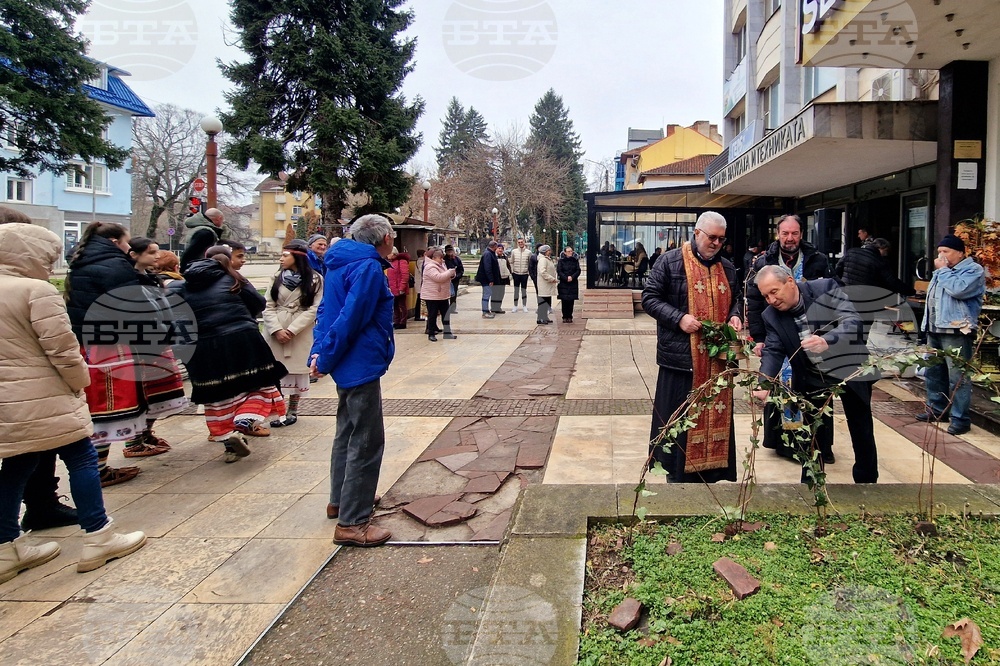 Монтана - конкурс - домашно вино