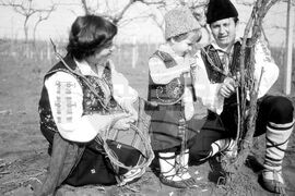 Ден на лозаря