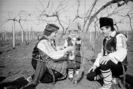 Ден на лозаря