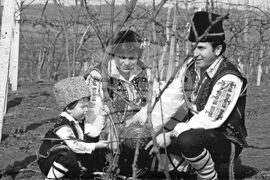 Ден на лозаря