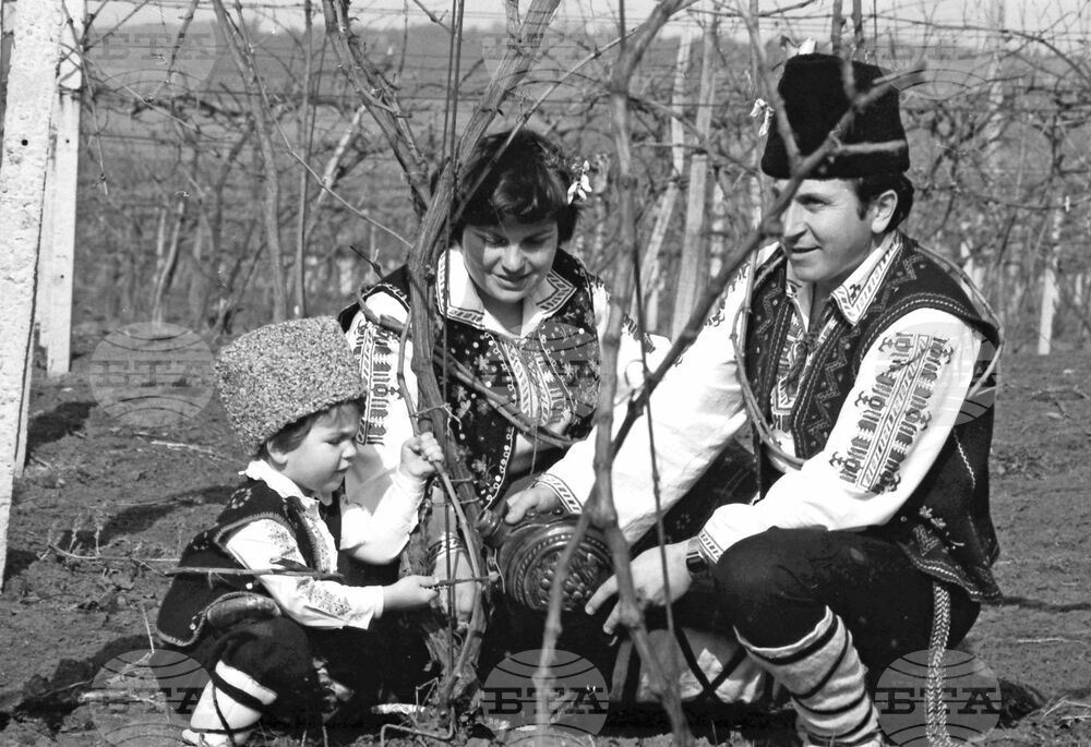 Ден на лозаря