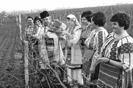 Ден на лозаря