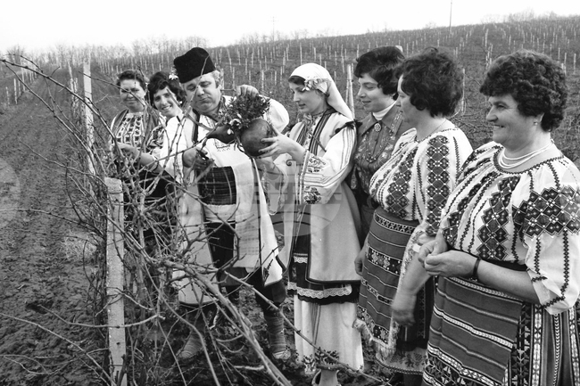 Observances: February 14-15