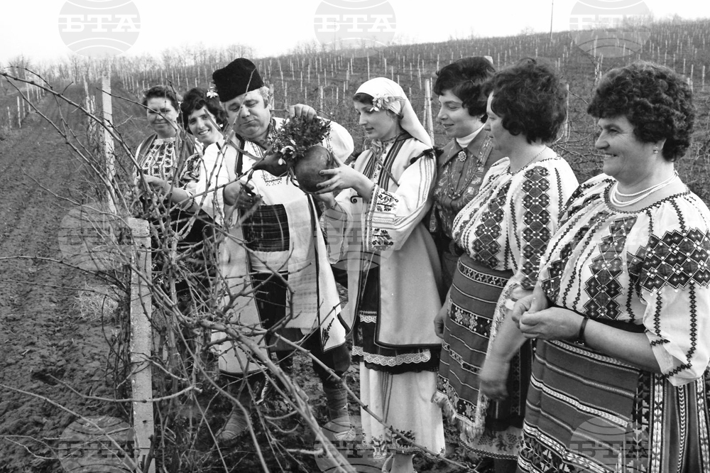 Ден на лозаря