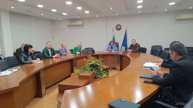 Най-много сигнали за необосновано повишаване на цените има в сферата на услугите, каза областният управител на Пловдив проф. Христина Янчева