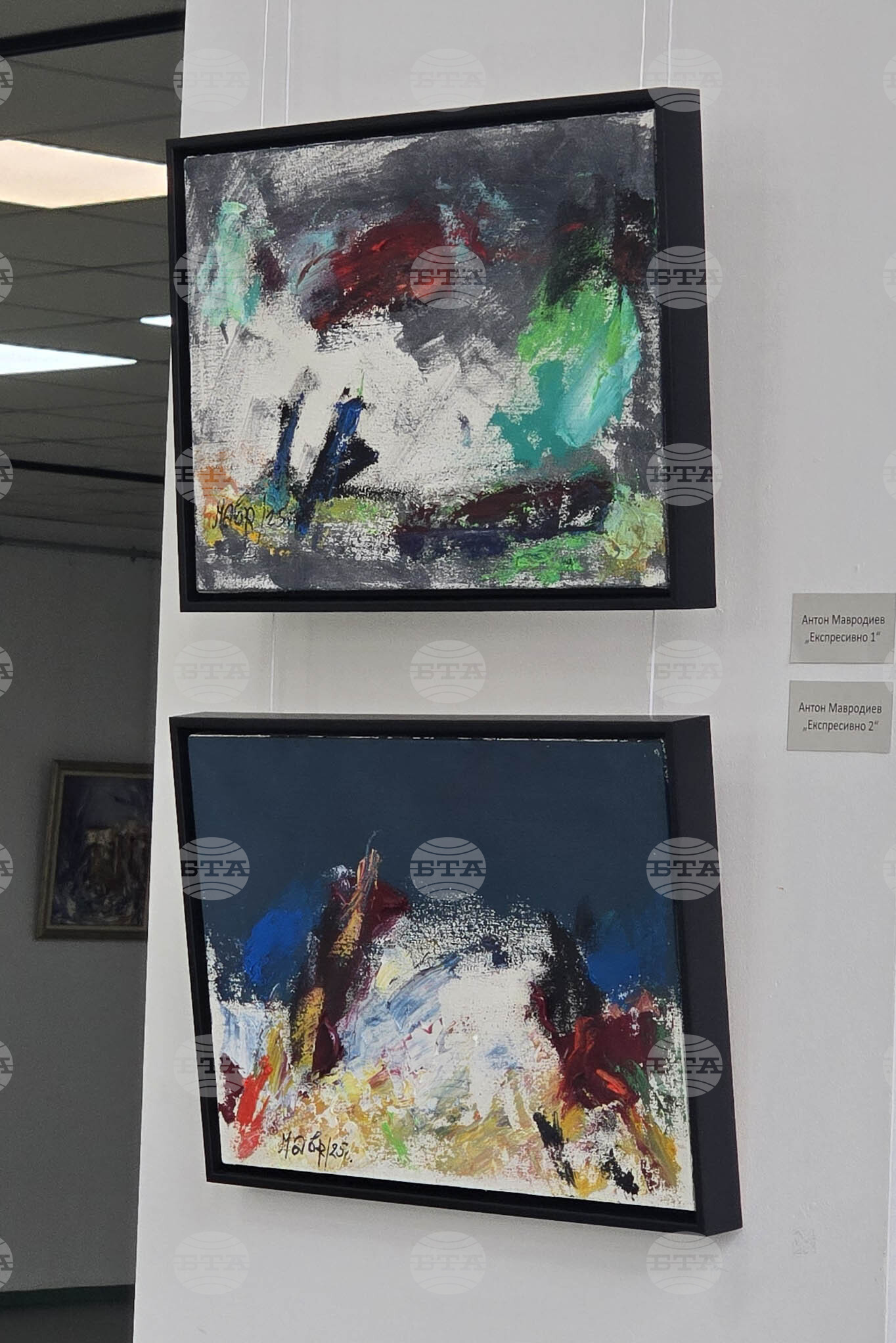 Благоевград - галерия - изложба