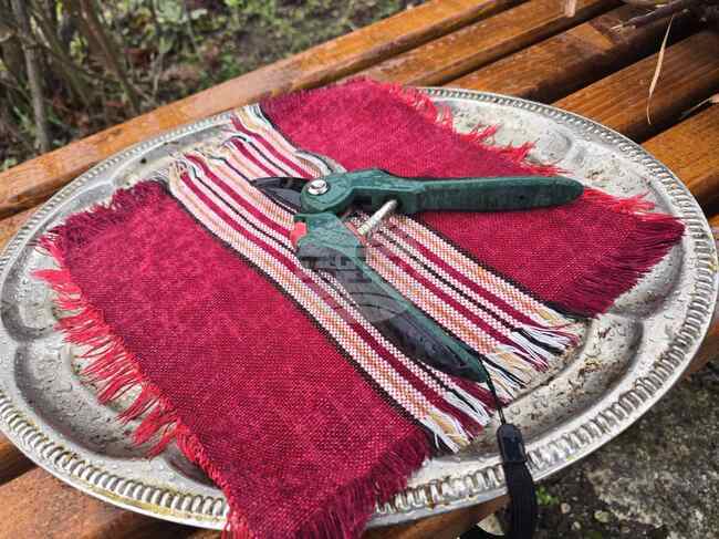 Ученици и преподаватели от Българското училище „Просвета“ в Делжилер, Украйна, пресъздадоха обичая по зарязване на лозята за Трифон Зарезан