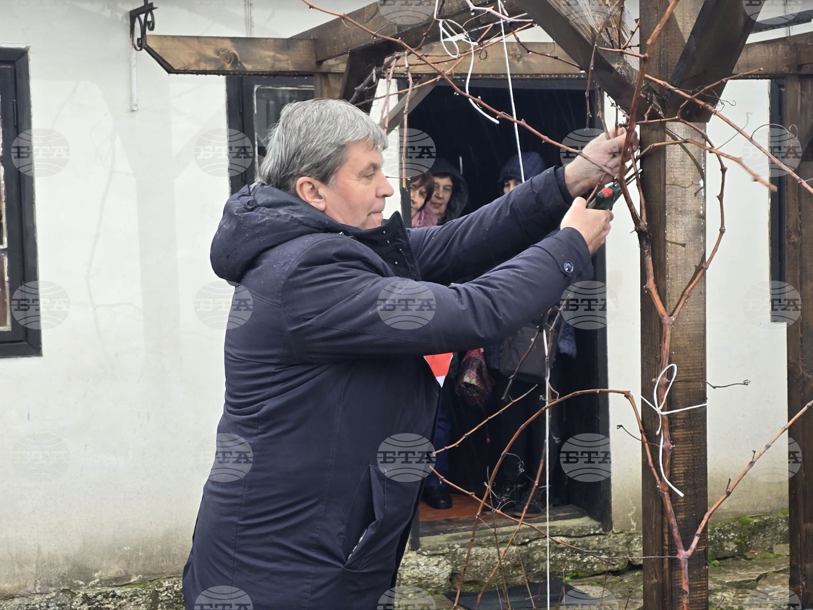 С ритуално зарязване на лоза в Каварна отбелязаха Трифон Зарезан