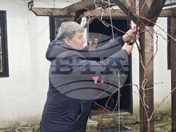 Каварна - Етнографска къща - Трифон Зарезан