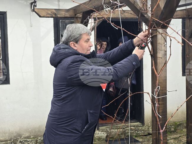 С ритуално зарязване на лоза в Каварна отбелязаха Трифон Зарезан