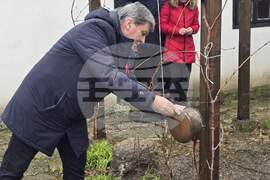 Каварна - Етнографска къща - Трифон Зарезан