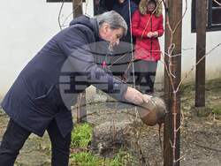 Каварна - Етнографска къща - Трифон Зарезан