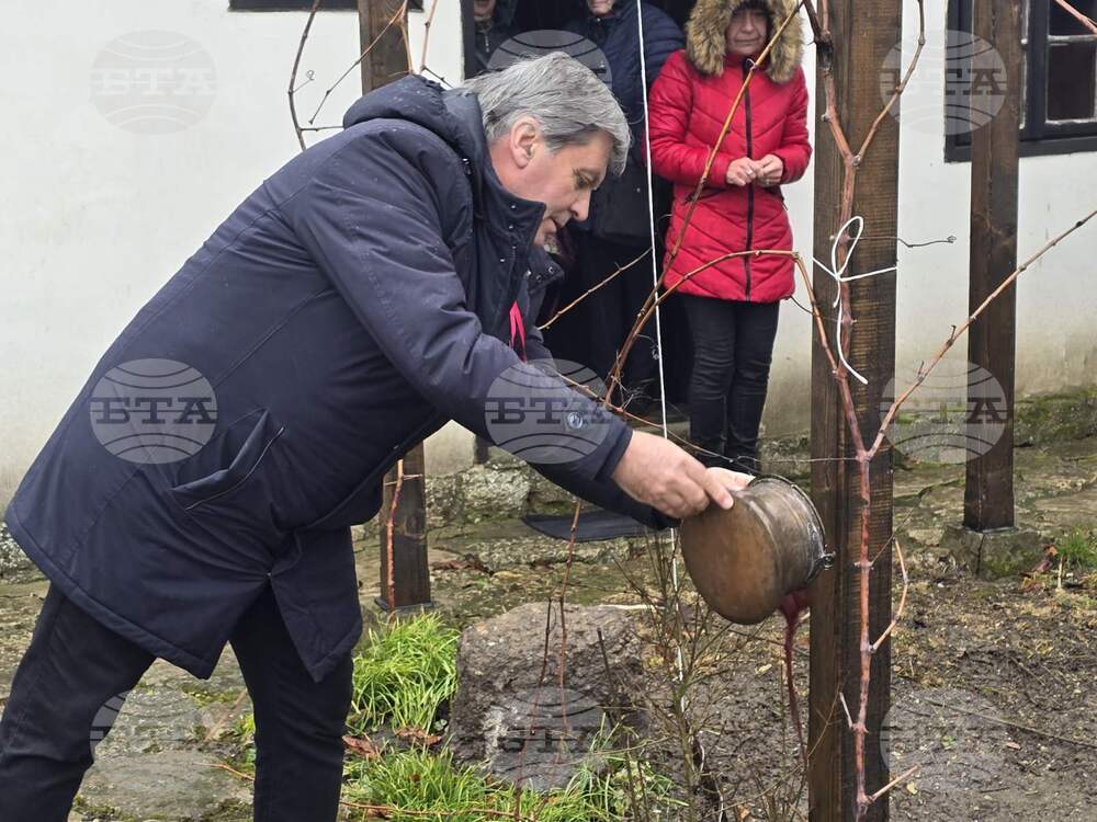 Каварна - Етнографска къща - Трифон Зарезан