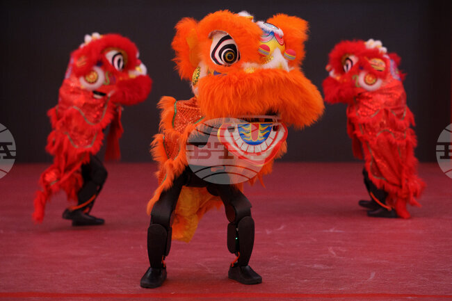 APTOPIX China Lunar New Year Robots