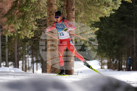 Milan Cortina Olympics Biathlon