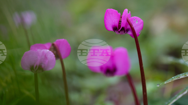 Прогноза за времето