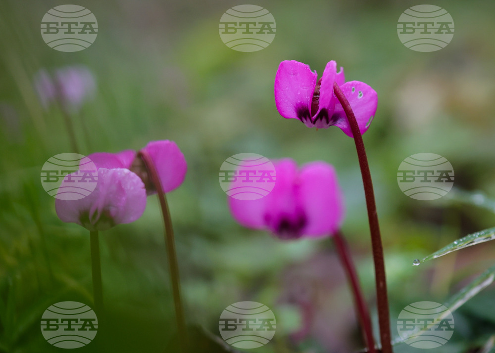 Прогноза за времето