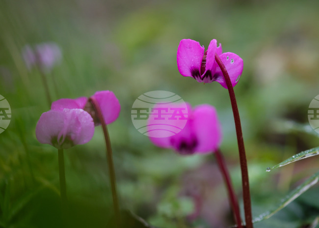 Прогноза за времето