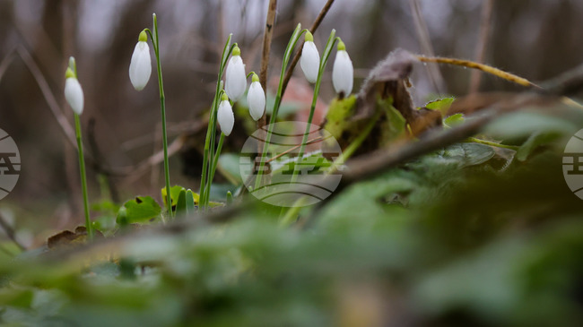 Weather in March: Temperatures to Range between Minus 7C and 26C