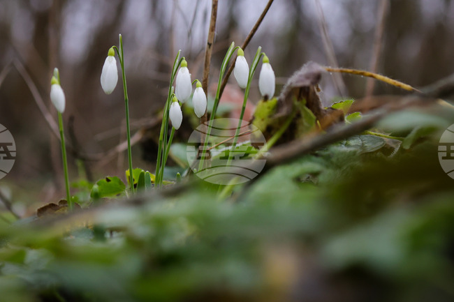 Weather in March: Temperatures to Range between Minus 7C and 26C