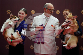 Russia Pet Show