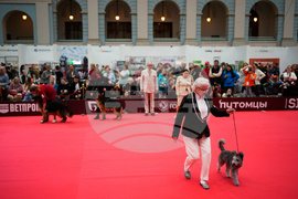 Russia Pet Show