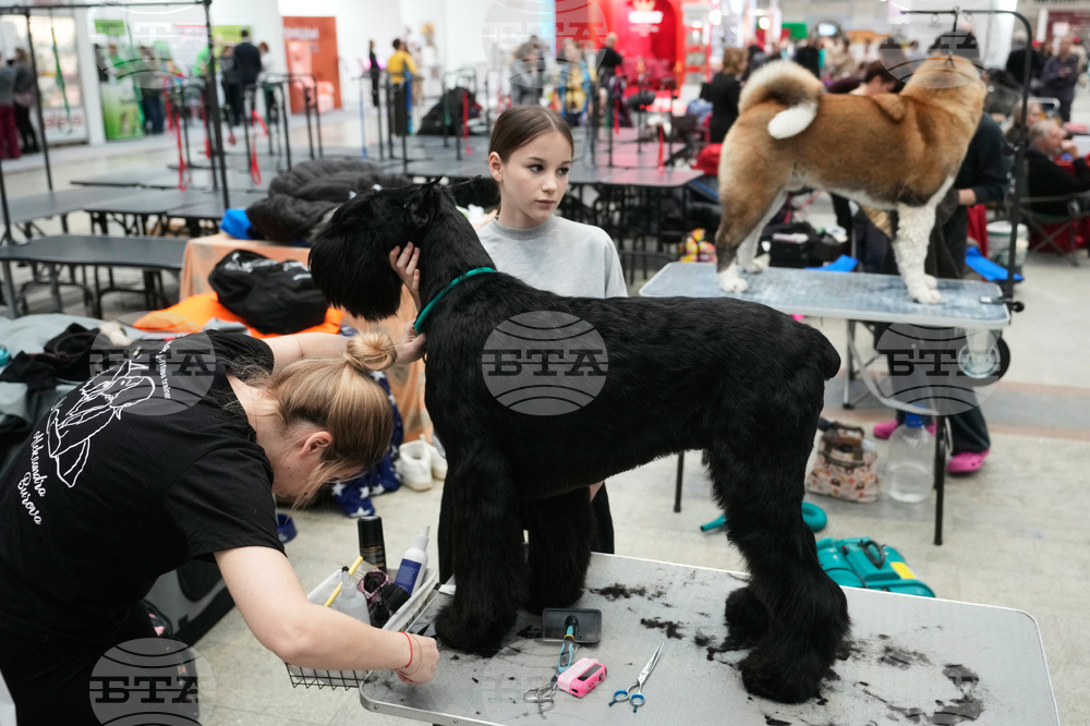 Russia Pet Show