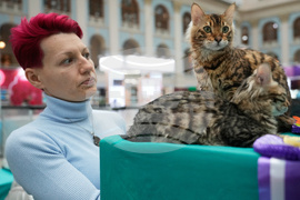 Russia Pet Show