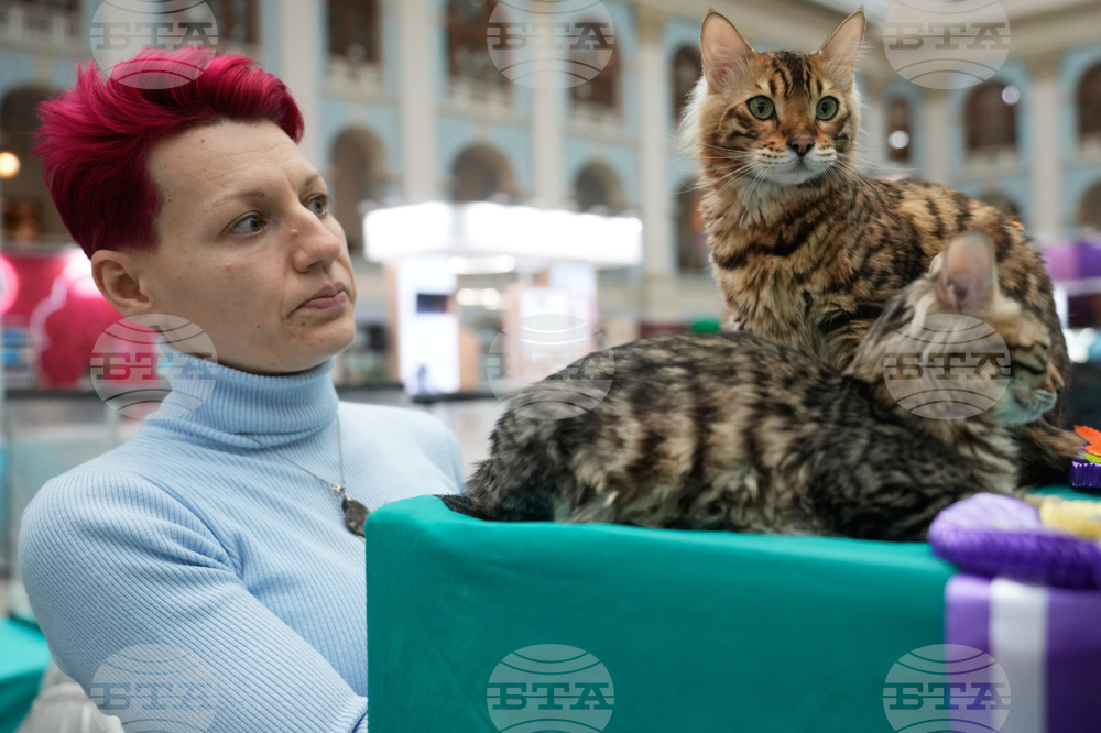 Russia Pet Show