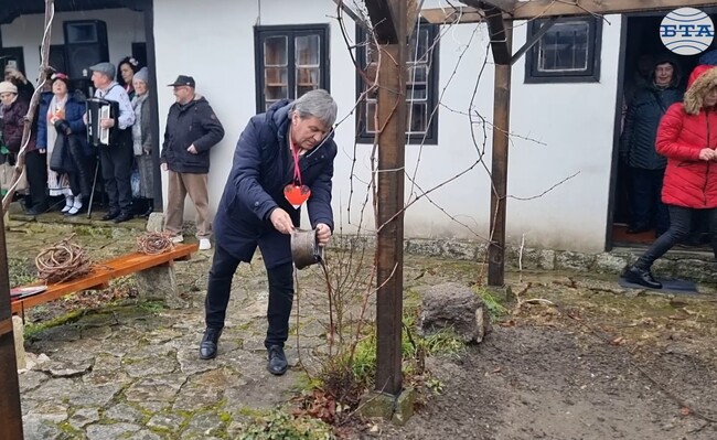 С ритуално зарязване на лоза в Каварна отбелязаха Трифон Зарезан