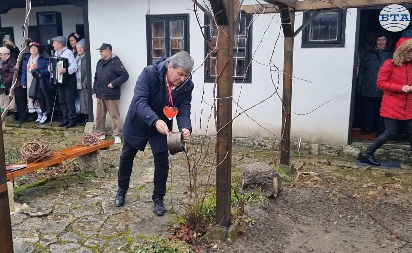 С ритуално зарязване на лоза в Каварна отбелязаха Трифон Зарезан