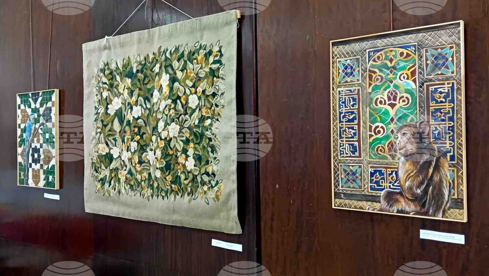 Силистра - „Трансгранични визуални връзки“ - изложба - откриване