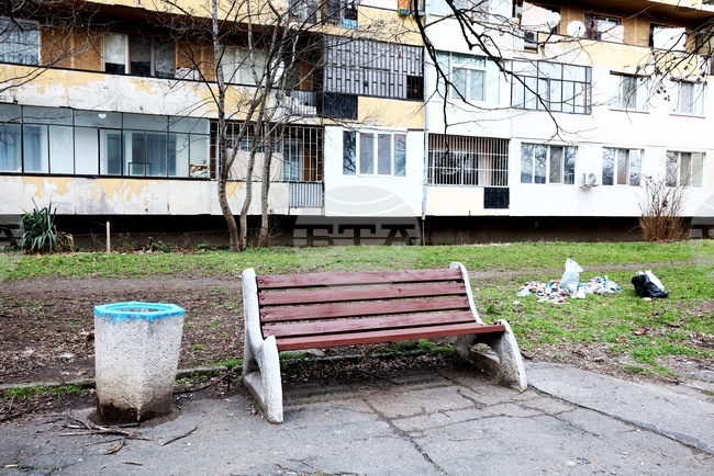 Столичната полиция установява обстоятелствата във връзка с намерено бебе в ембрионален стадий