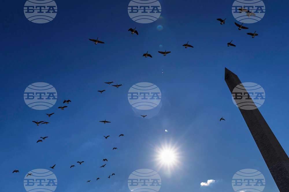 Washington Daily Life