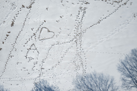 Washington Daily Life