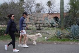 Savannah Guthrie Mom Missing