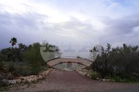 Savannah Guthrie Mom Missing