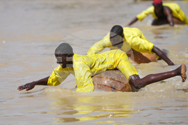Nigeria Argungu Fishing Festival