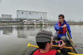 Climate Wetland Restoration Tree Planting