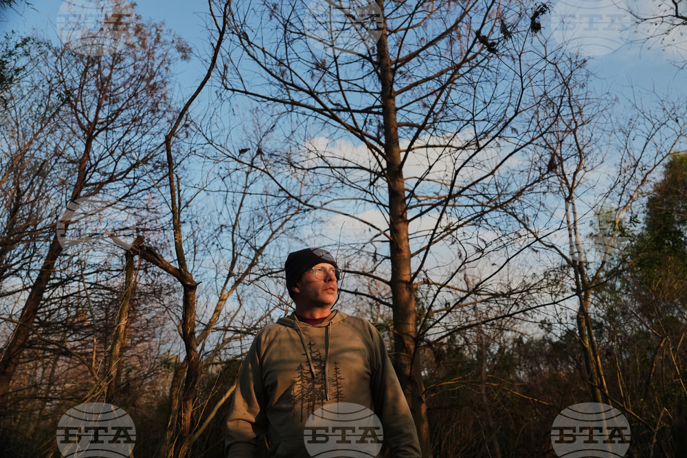 Climate Wetland Restoration Tree Planting