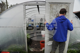 Climate Wetland Restoration Tree Planting