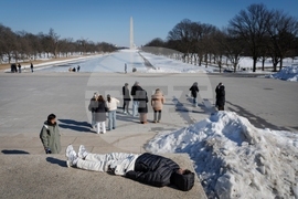 Washington Daily Life