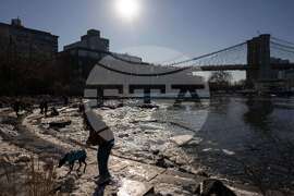 New York Daily Life