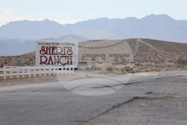 Nevada Sex Workers Unionizing