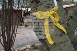 Savannah Guthrie Mom Missing