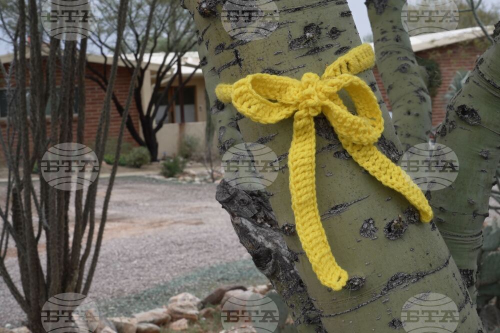 Savannah Guthrie Mom Missing