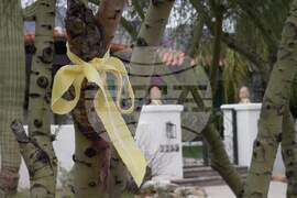 Savannah Guthrie Mom Missing