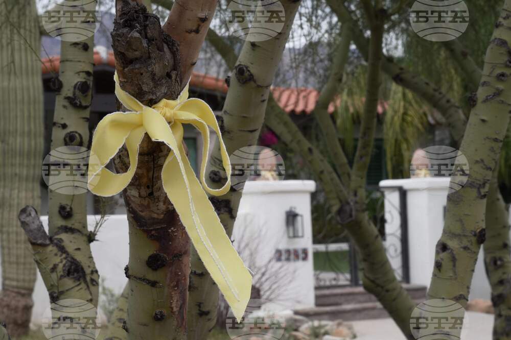 Savannah Guthrie Mom Missing