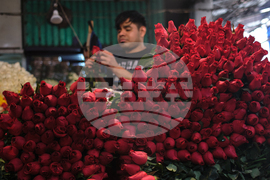 Mexico Valentine's Day